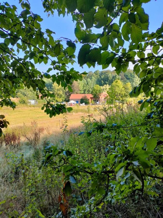 Chambre Spacieuse Avec Vue Sur Clocher Appartement Verchin Buitenkant foto